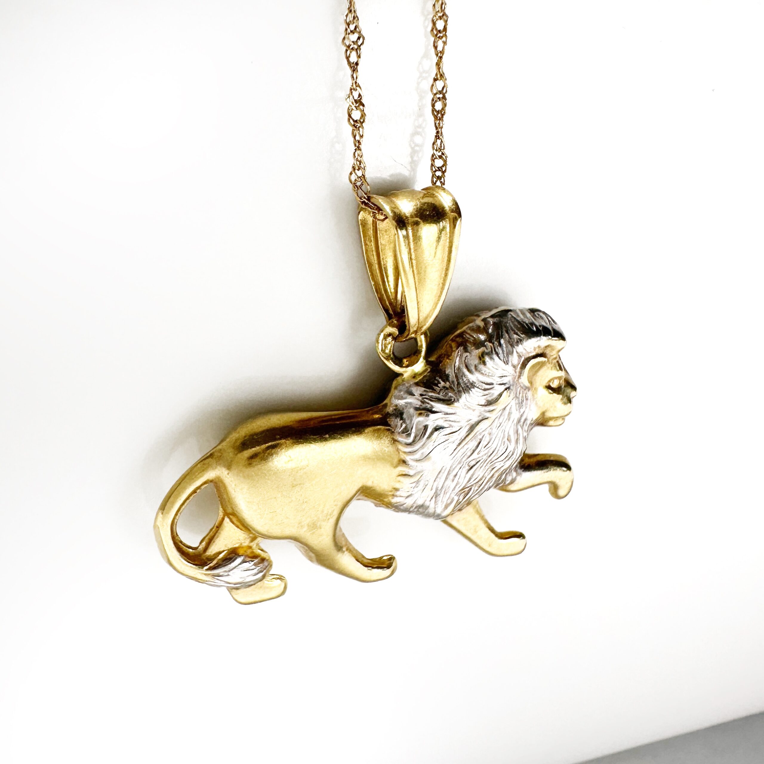 Vintage Gold Lion Lucky Pendant (3)