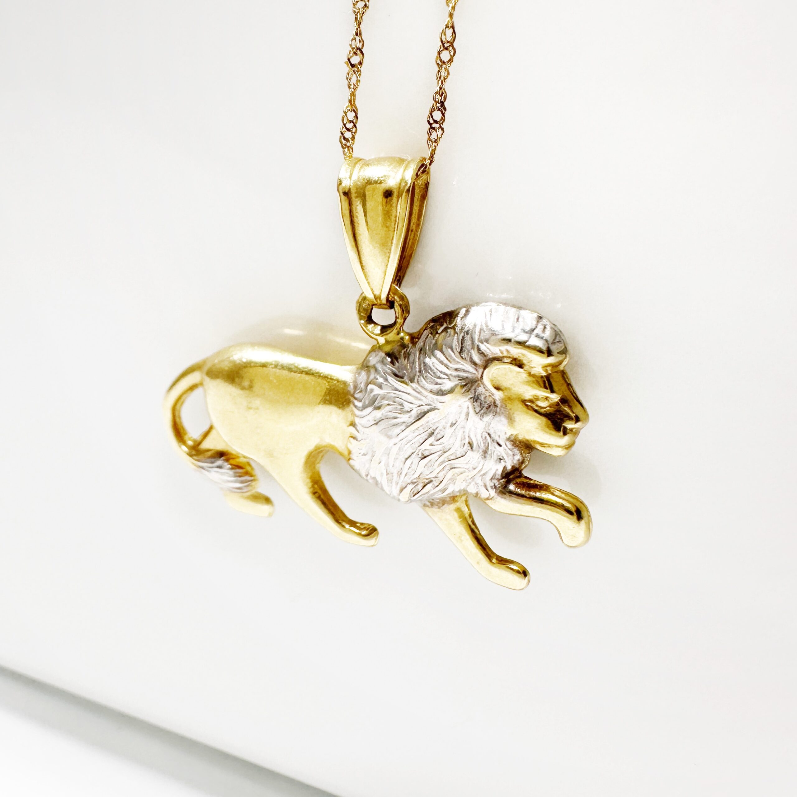 Vintage Gold Lion Lucky Pendant (4)