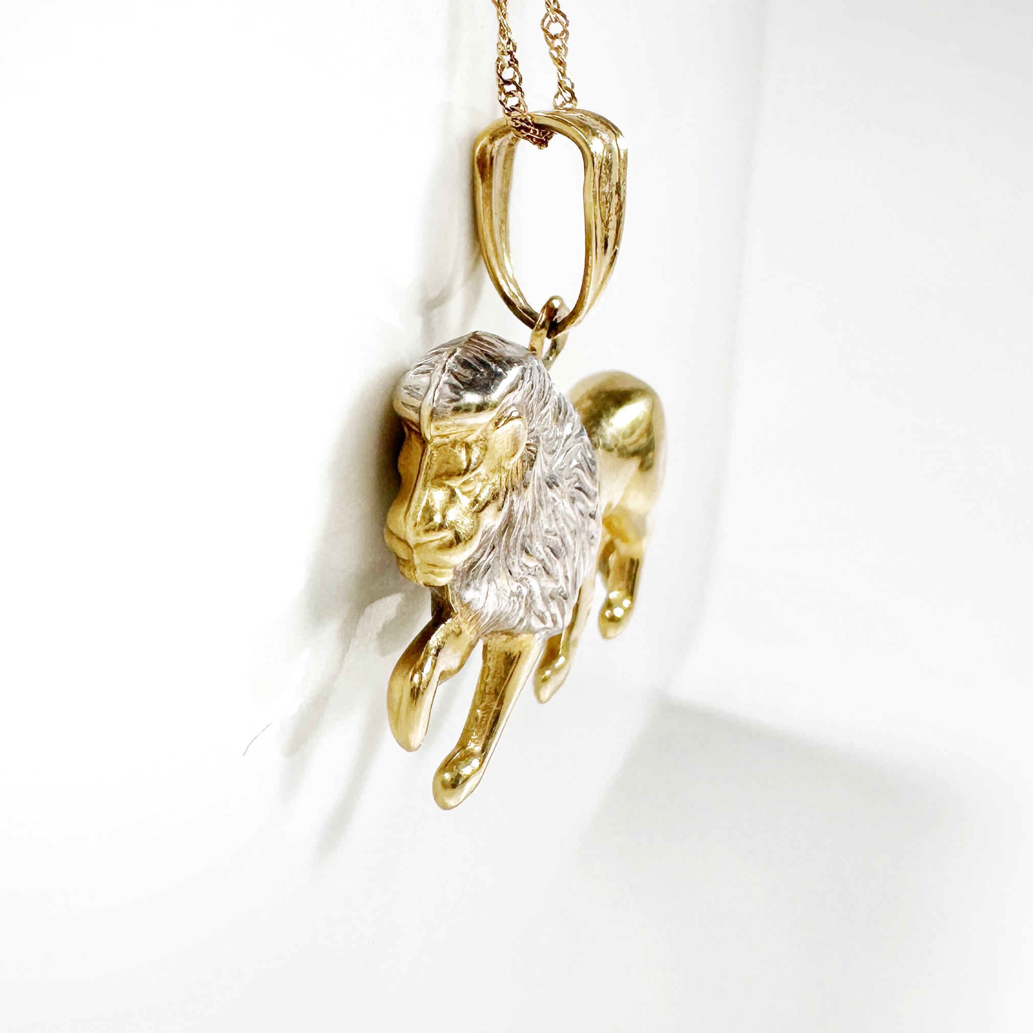 Vintage Gold Lion Lucky Pendant (8)